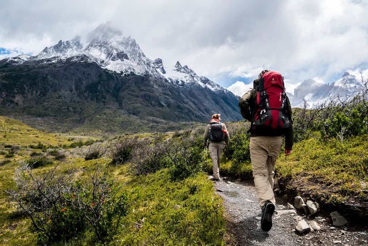 Pathfinder Trekking Poles product photo